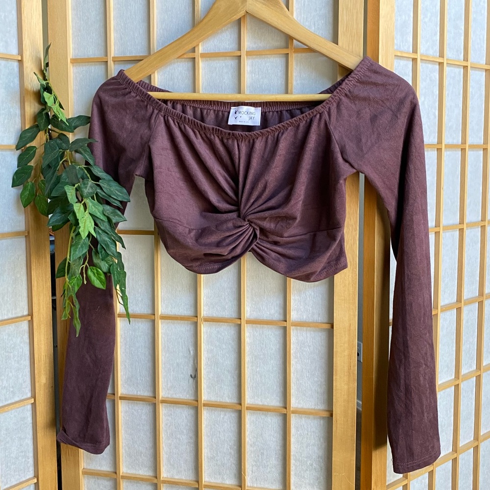 🕊SOLD - MOCKING JAY VELVET CROP